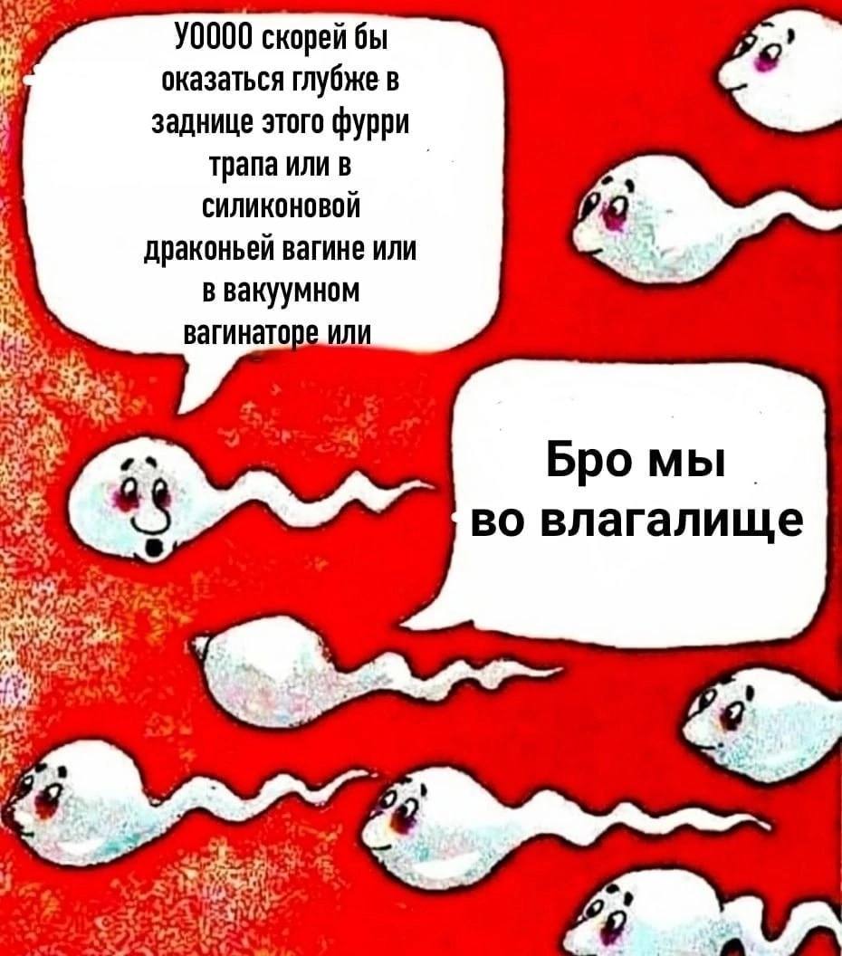 От @why_not_luba