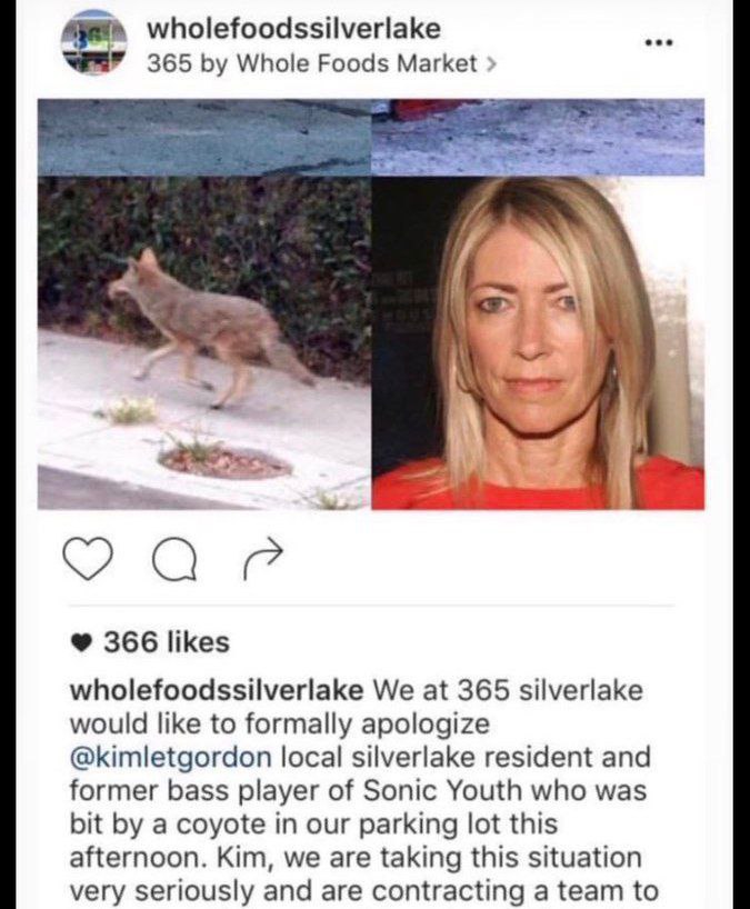 wholefoodssilverlake eee 365 Whole Foods Market 366 likes wholefoodssilverlake We at 365 silverlake would like to formally apologize @kimletgordon local silverlake resident and former bass player of S