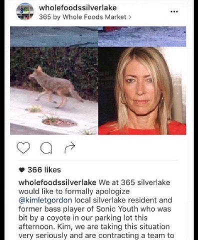 wholefoodssilverlake eee 365 Whole Foods Market 366 likes wholefoodssilverlake We at 365 silverlake would like to formally apologize @kimletgordon local silverlake resident and former bass player of S