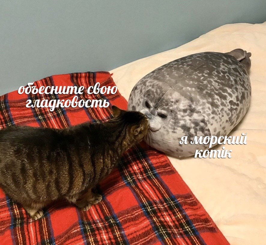 обоесните свою я мор И