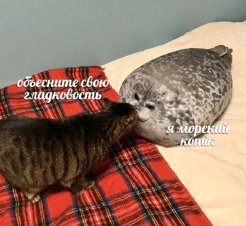 обоесните свою я мор И