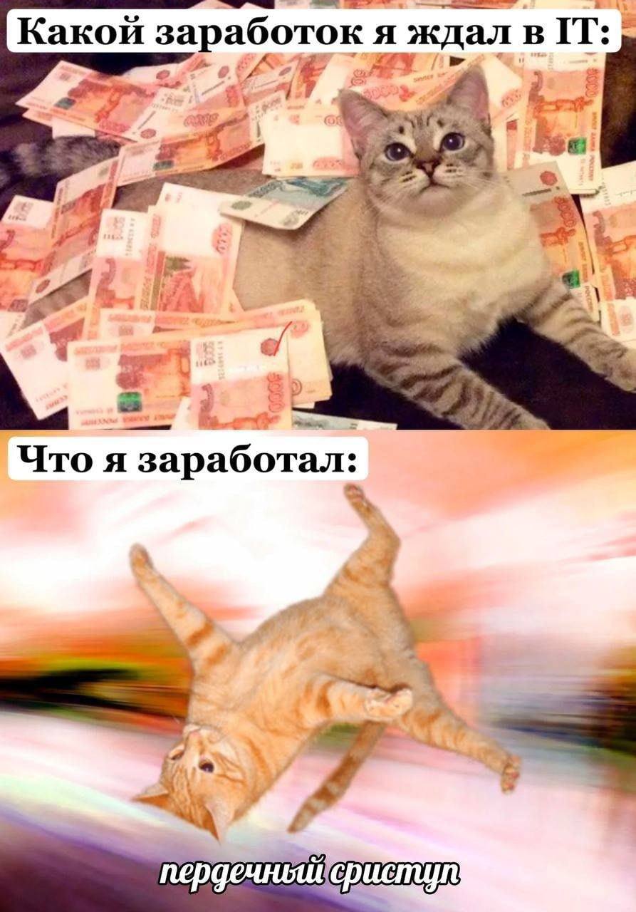Какой заработок я ждал BIT: Kae А) Что я заработал: а У