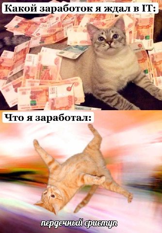 Какой заработок я ждал BIT: Kae А) Что я заработал: а У