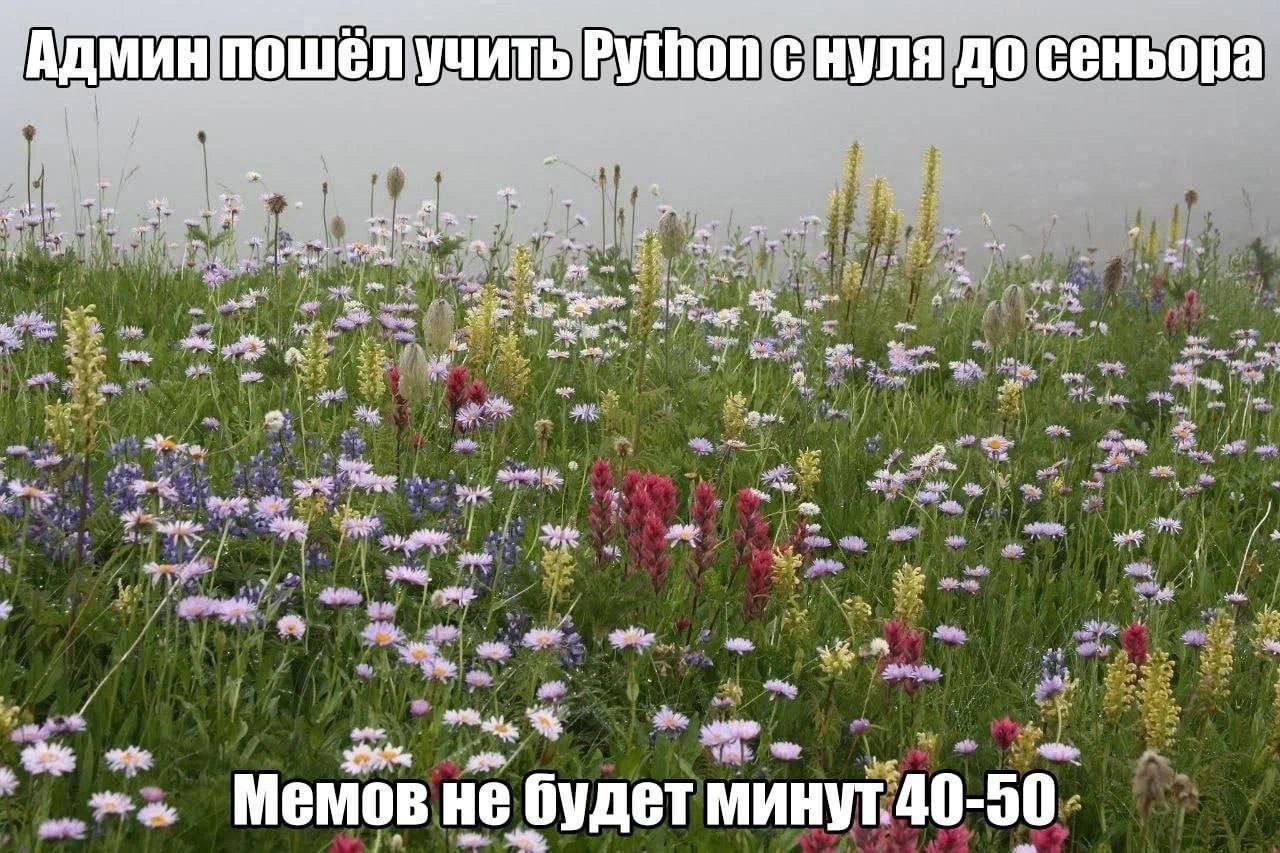 i 4 МИН tho CHYNA ДО сеньора a the tow a, we 4 use у a tie 7A 54 “i Memos He ‘будет минут