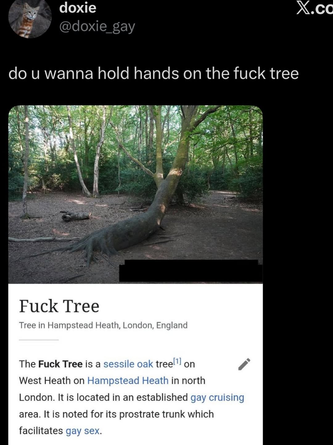 Чоже Х.сс wanna hold hands on the fuck tree Fuck Tree Tree in Hampstead Heath, London, England The Fuck Tree is a sessile oak on West Heath on Hampstead Heath in north London. It is located in an esta