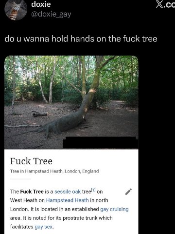 Чоже Х.сс wanna hold hands on the fuck tree Fuck Tree Tree in Hampstead Heath, London, England The Fuck Tree is a sessile oak on West Heath on Hampstead Heath in north London. It is located in an esta