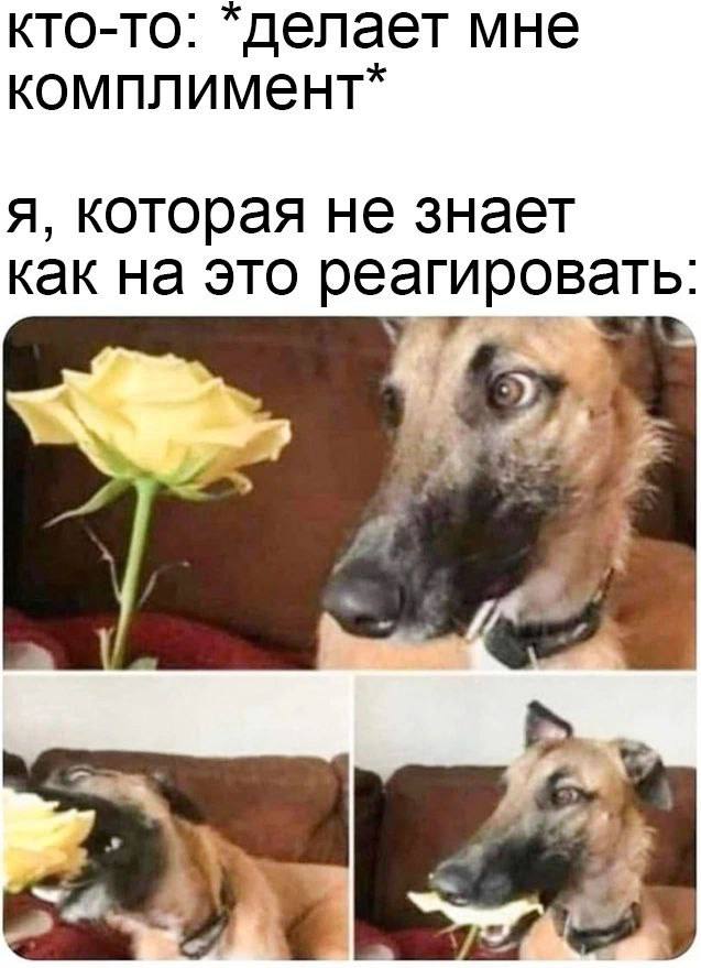 кто-то: “делает мне комплимент* я, которая не знает как на это ренгировать