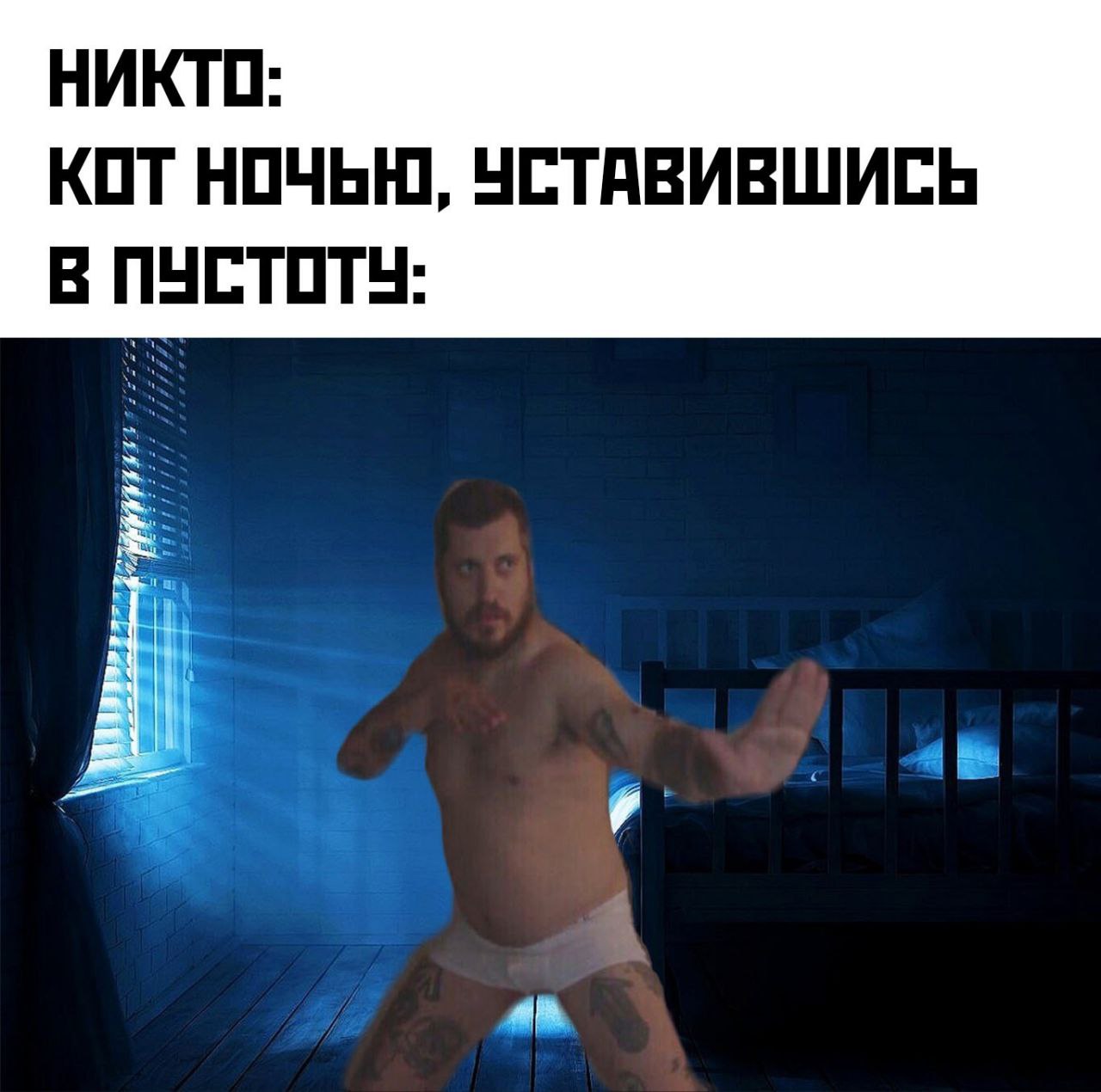 НИКТО: КОТ НОЧЬЮ, УСТАВИВШИСЬ В ПУСТОТУ: 4