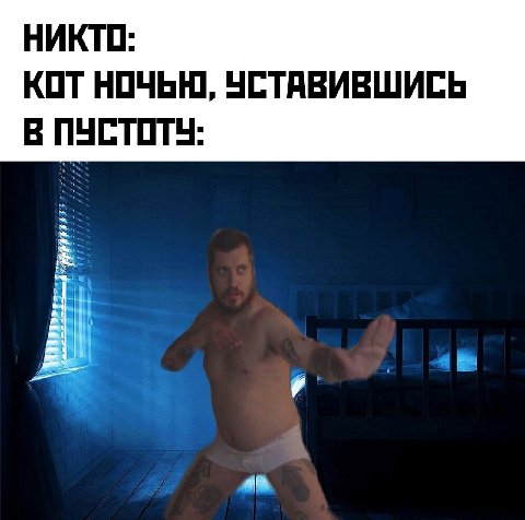 НИКТО: КОТ НОЧЬЮ, УСТАВИВШИСЬ В ПУСТОТУ: 4