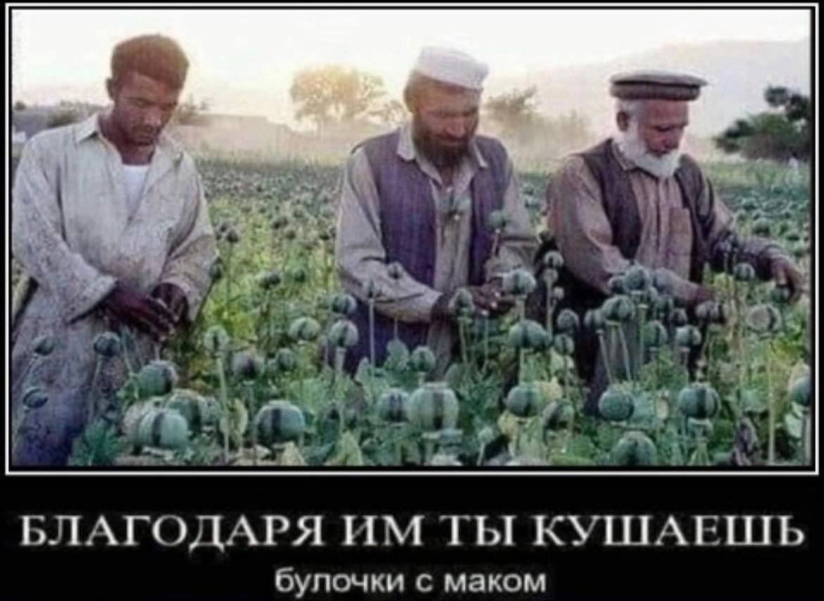 Des у БЛАГОДАРЯ ТЫ булочки с маком