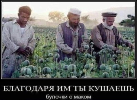 Des у БЛАГОДАРЯ ТЫ булочки с маком