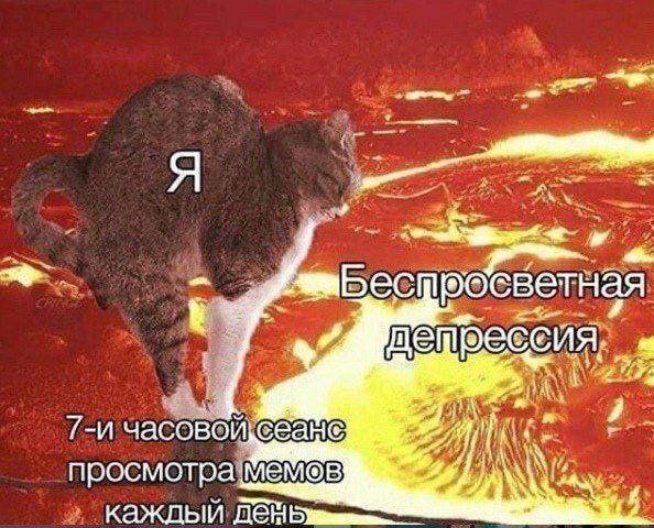 ест светная ote час просмотра каждый