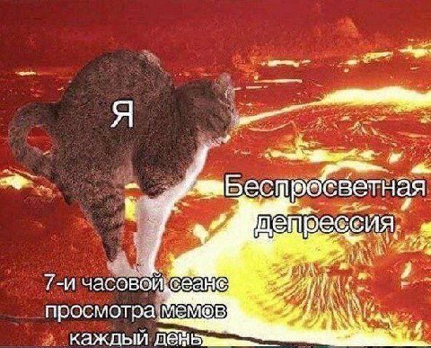 ест светная ote час просмотра каждый