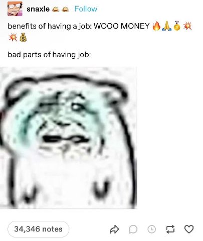 зпаже Follow benefits of having a job: WOOO MONEY 3 bad parts of having job: 34,346 notes 9