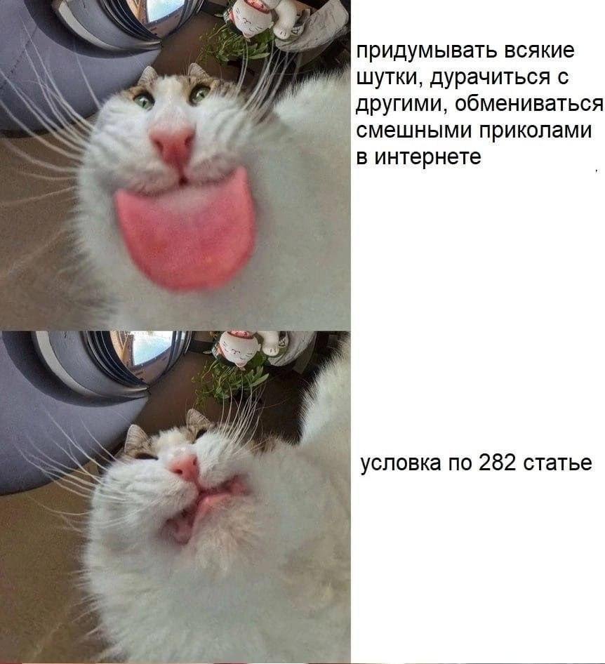 придумывать всякие шутки, дурачиться с другими, обмениваться смешными приколами в интернете а условка по 282 статье