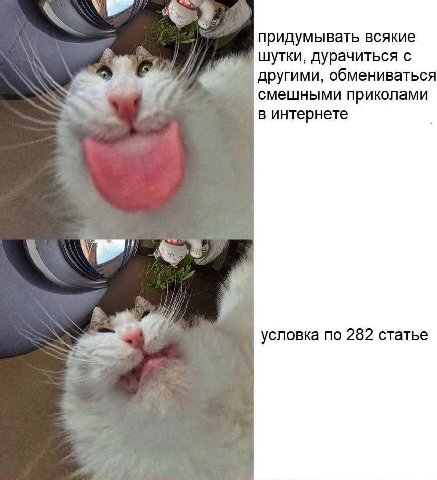 придумывать всякие шутки, дурачиться с другими, обмениваться смешными приколами в интернете а условка по 282 статье