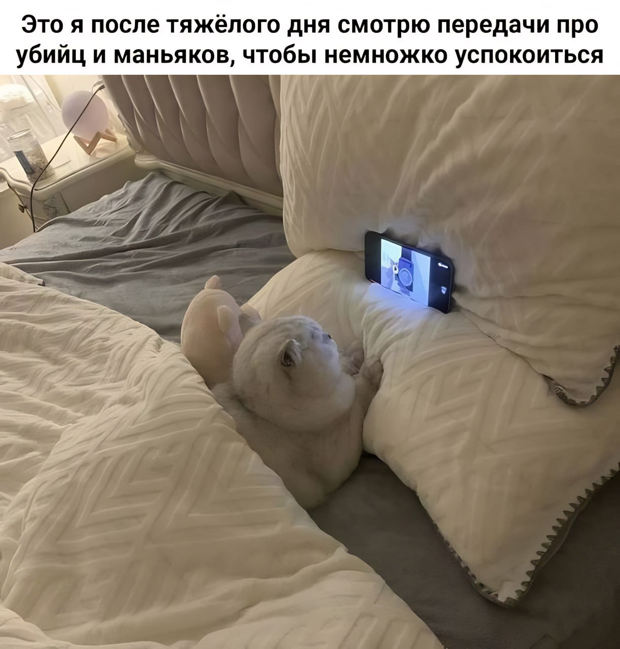 Это я после тяжёлого дня смотрю передачи про убийц и маньяков, чтобы немножко успокоиться