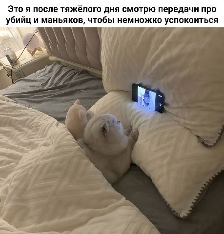 Это я после тяжёлого дня смотрю передачи про убийц и маньяков, чтобы немножко успокоиться