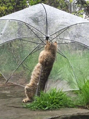 к 4 a ote 4 8 с 3 1 с AN ONE я 4 A 7 4 4 К 2 —4 4%