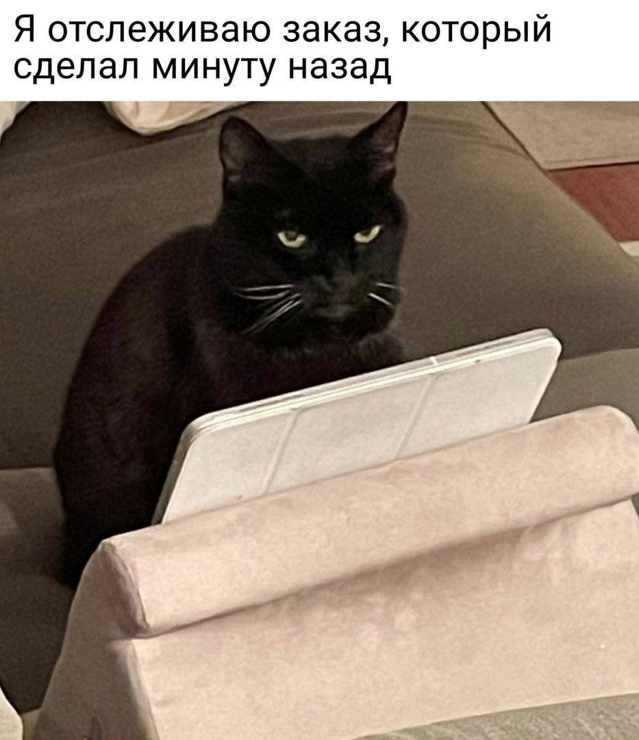 Я отслеживаю заказ, который сделал минуту назад