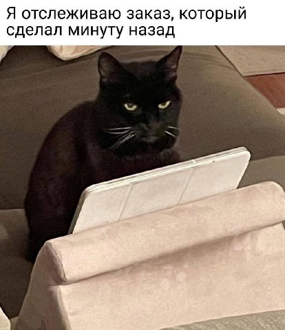 Я отслеживаю заказ, который сделал минуту назад