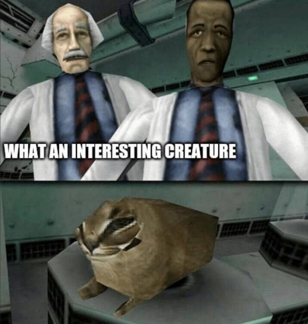 👤 empörung