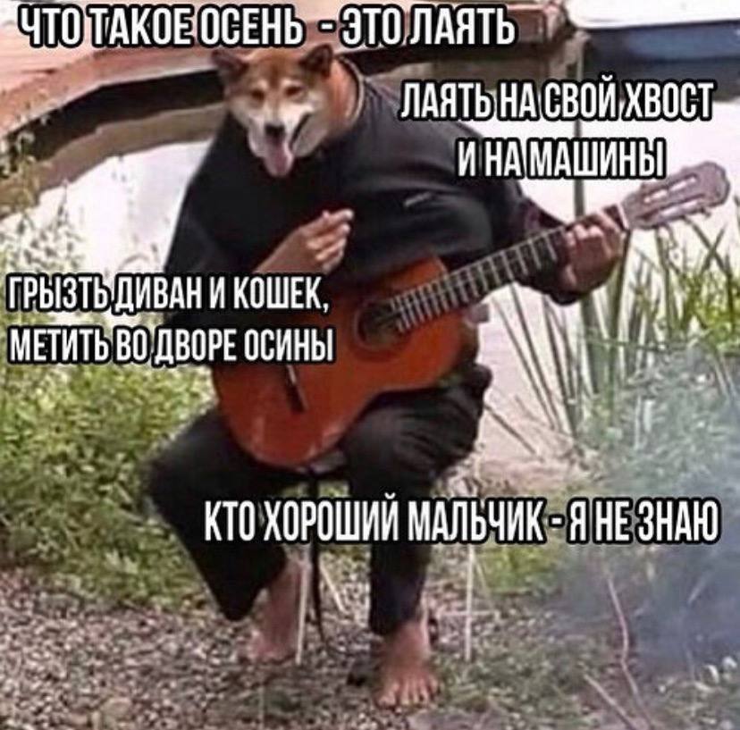 ЧТО ЭТО?ЛАЯТЬ "ЛАЯТЬ НАСВОЙ ХВОСТ ИНАМАШИНЫ КОШЕК. ДВОРЕ ОСИНЫ КТО ХОРОШИЙ A HE 4 3 $:4% 2