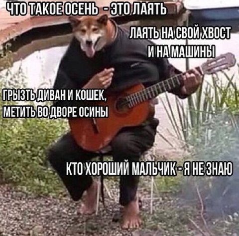 ЧТО ЭТО?ЛАЯТЬ "ЛАЯТЬ НАСВОЙ ХВОСТ ИНАМАШИНЫ КОШЕК. ДВОРЕ ОСИНЫ КТО ХОРОШИЙ A HE 4 3 $:4% 2