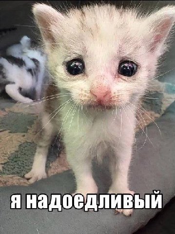 Woo и 3 a i a А мы я надоедливыи toy