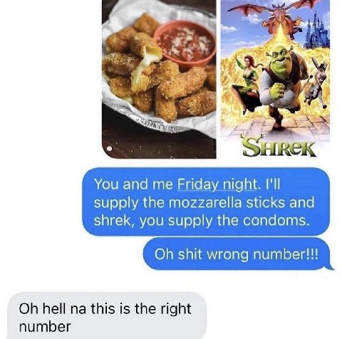 ald You and me Friday night. I'll supply the mozzarella sticks and shrek, you supply the condoms. shit wrong number!!! hell this is the right number