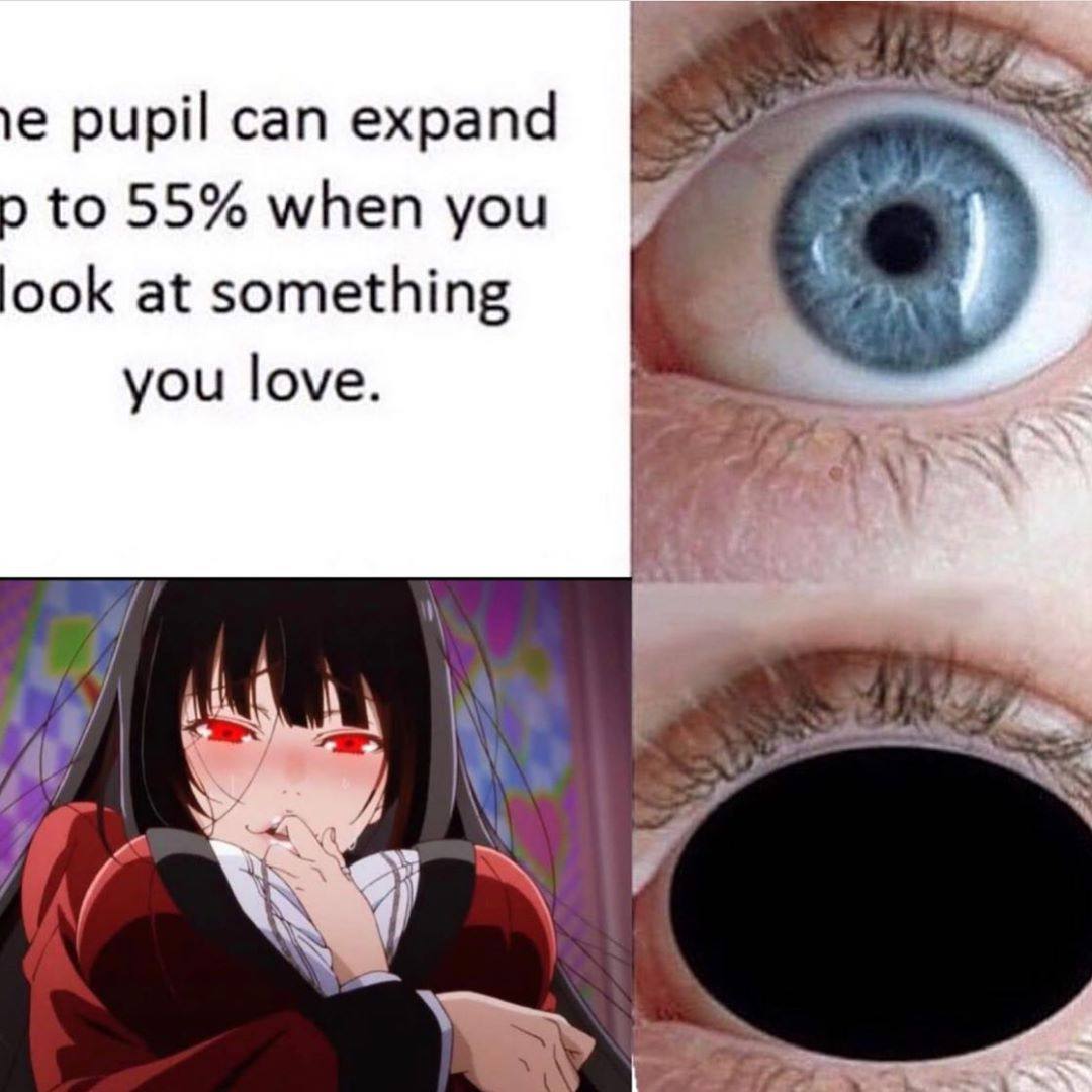 рирй сап ехрапа to 55% when you ook at something you love. ayy 5 А 8