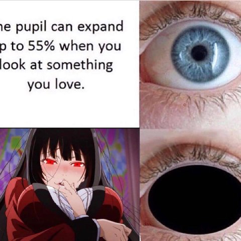 рирй сап ехрапа to 55% when you ook at something you love. ayy 5 А 8