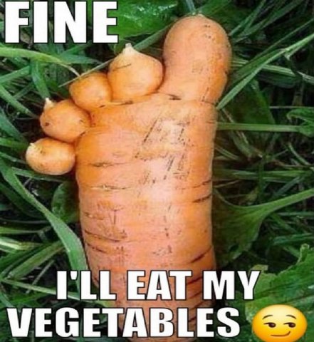 FINE к EAT MY МЕСЕТА В