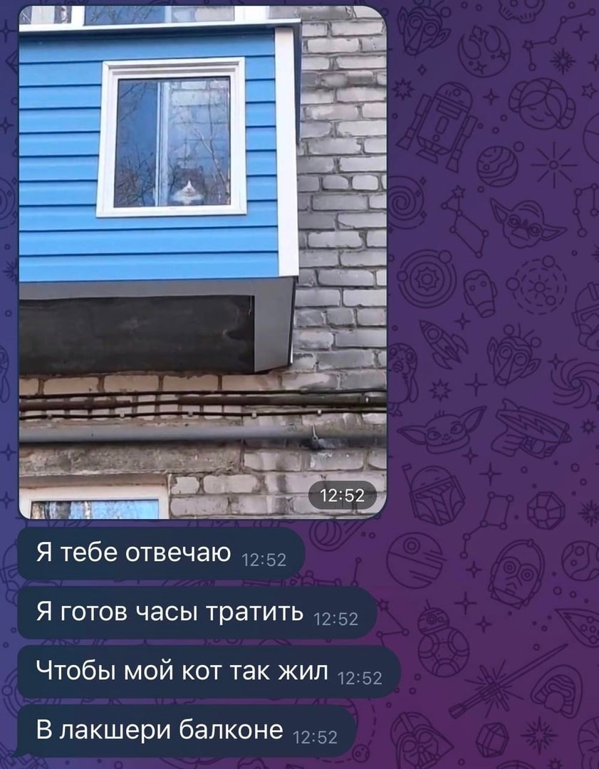 12:52 Я тебе отвечаю Я готов часы тратить Чтобы мой кот так жил В лакшери балконе