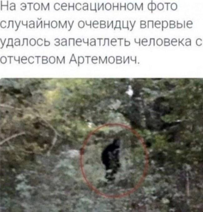 На этом сенсационном фото случайному очевидцу впервые удалось запечатлеть человека с отчеством Артемович.