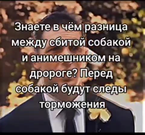 Знаете в чём разница Кмежду сбитой собакой _ дророге? Перед =eaco6akou будут следьё == Знаете в YéM\pasHuya между сбитойобакойния ианимешикьы — =maco6akon будутследьй == ‚йанимешником|на | || собакой'