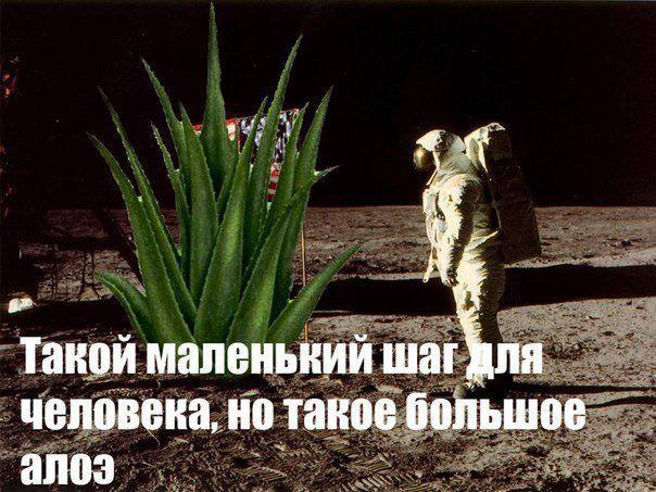 Такой маленький человека, но такое большое