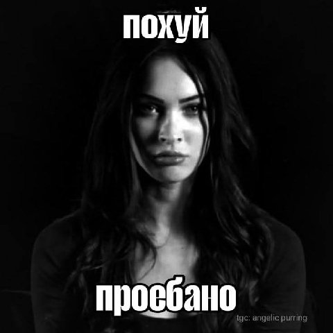 похуй проебано tgc: angelic purring