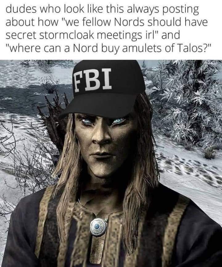 dudes who look like this always posting about how "we fellow Nords should have secret stormcloak meetings irl" and "where can a Nord buy amulets of Talos?"