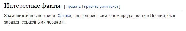 Интересные факты править править вики-текст Знаменитый пёс по кличке Хатико, являющийся символом преданности в Японии, был заражен сердечными червями.