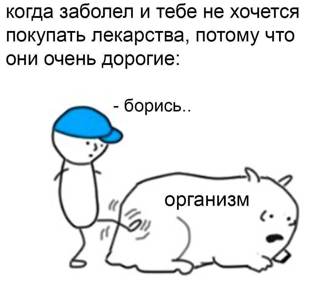 когда заболел и тебе не хочется покупать лекарства, потому что они очень дорогие: борись.. организм