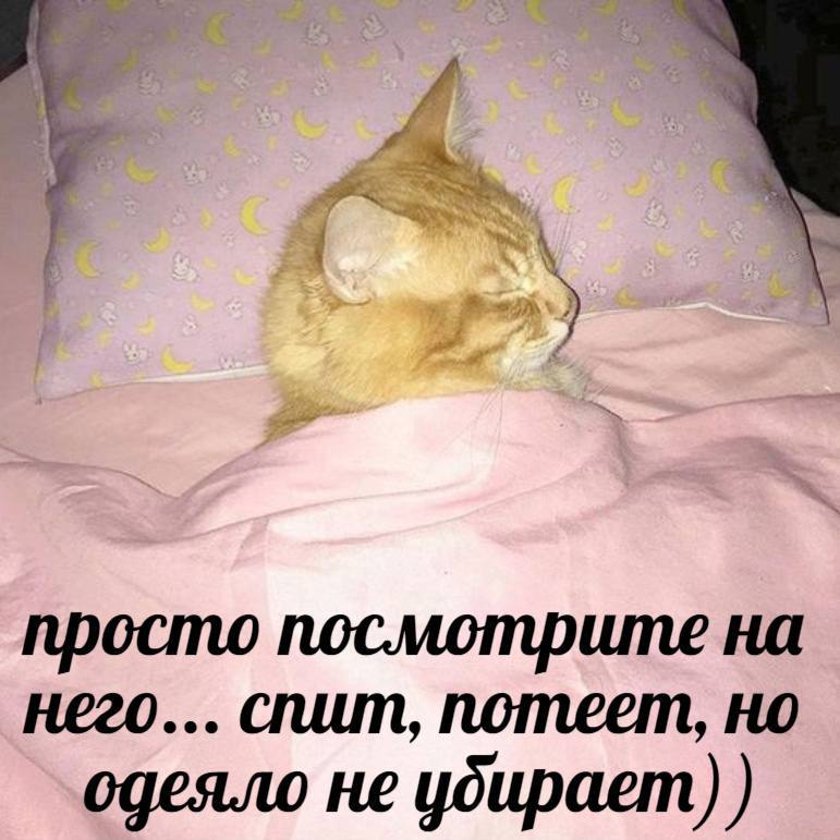 просто посмотрите на него... спит, потеет, но одеяло не убирает)
