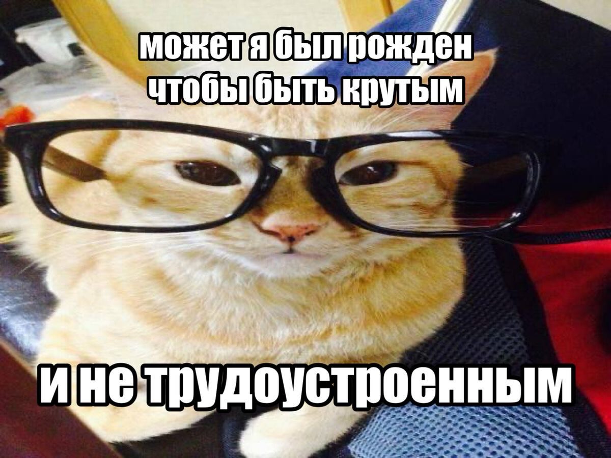DYTbIM трудоустр