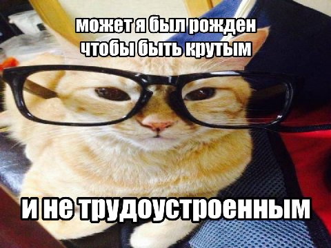 DYTbIM трудоустр