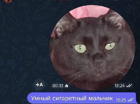 >А 00:55 15:24 Умный сигаретный мальчик 12:25