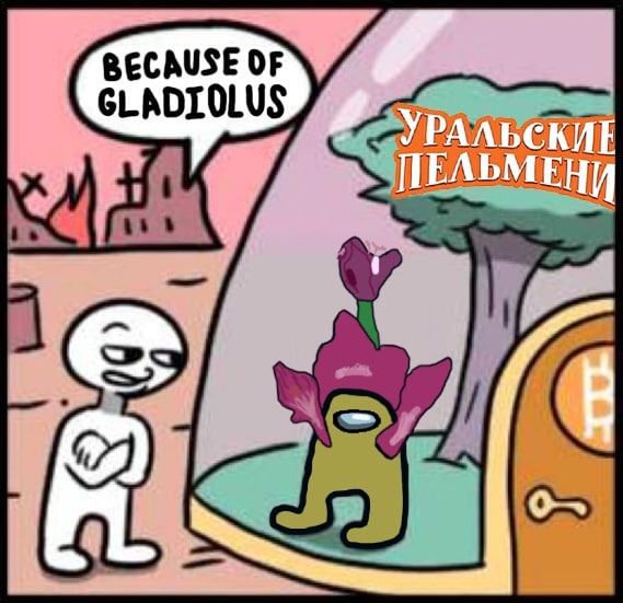 BECAUSE OF GLADIOLUS и УРАЛЬСКИЕ ПЕЛЬМЕНИ On
