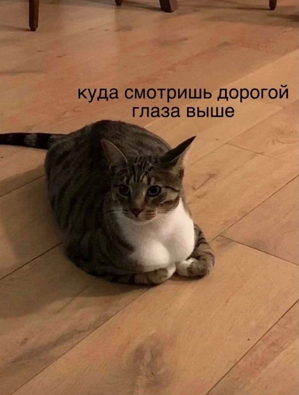 куда смотришь дорогой глаза выше