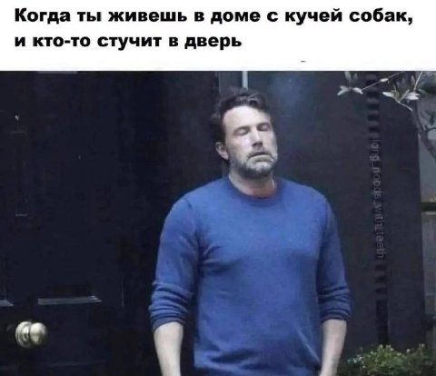 Когда ты живешь в доме с кучей собак, и кто-то стучит в дверь