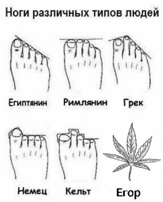 Ноги различных типов людей Египтянин Римлянин Грек Я A; Hemeu Кельт Егор