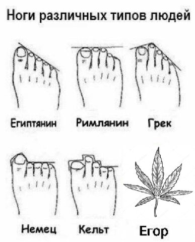 Ноги различных типов людей Египтянин Римлянин Грек Я A; Hemeu Кельт Егор
